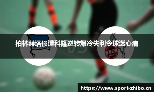 智博体育平台