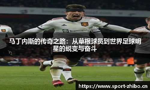 智博体育官方网站